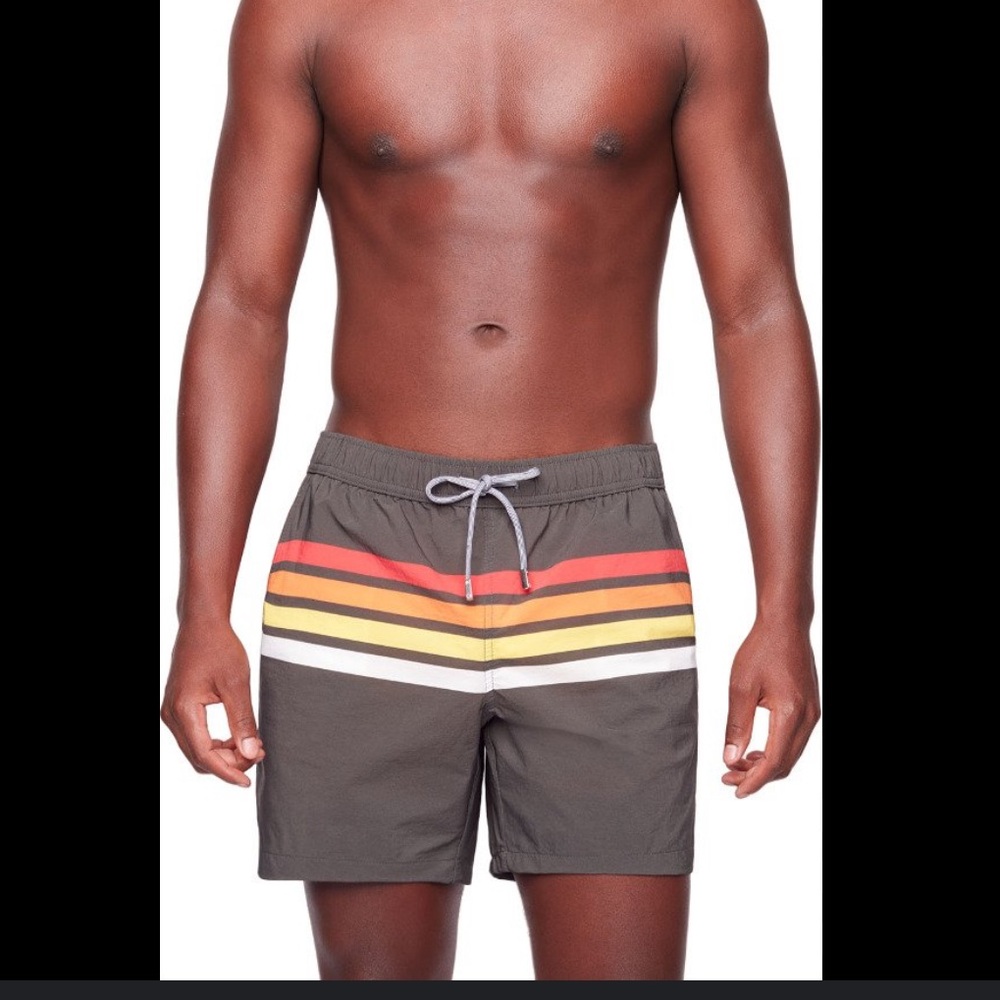 Public Beach Rainbow 2.0 Swim Shorts - Men's olive lined XL